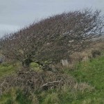 Explore More - Discover fun & adventure off Ireland's beaten tracks… Guided Walks, Challenging Hikes, Backpacking, Wild Camping, Navigation Training