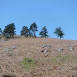 Explore More - Discover fun & adventure off Ireland's beaten tracks… Guided Walks, Challenging Hikes, Backpacking, Wild Camping, Navigation Training